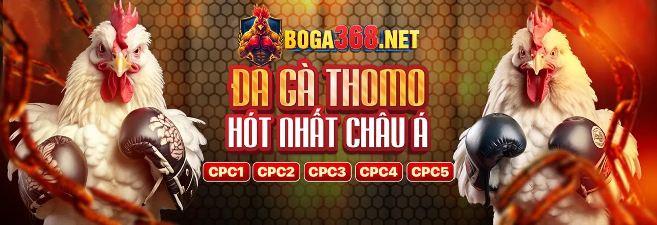 Hình ảnh minh họa các giá trị cốt lõi của k8ccc win