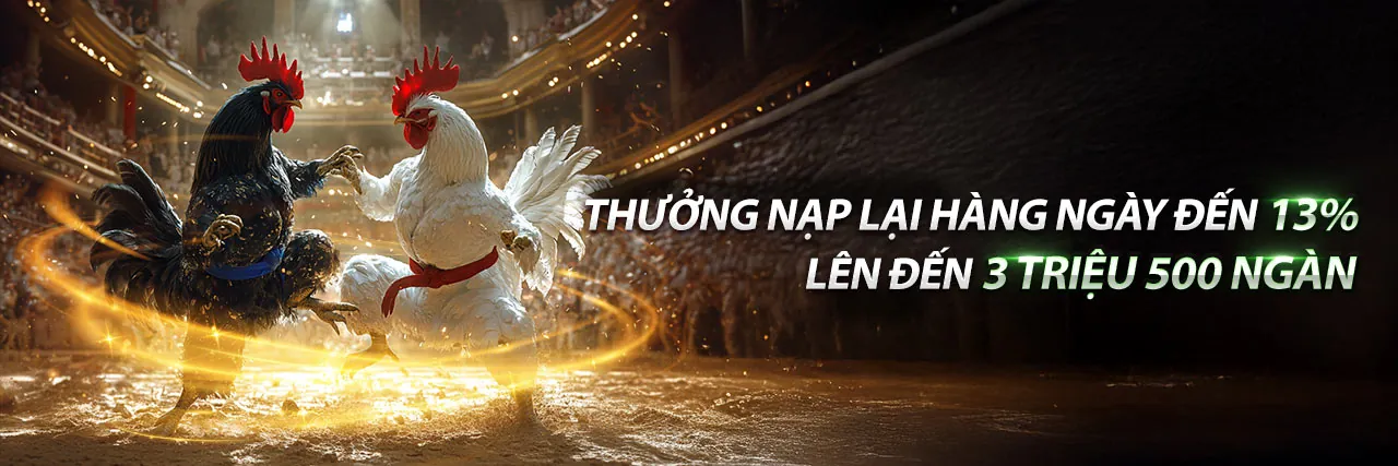 Sân vận động với ánh đèn rực rỡ và logo k8ccc win, thể hiện cá cược thể thao đỉnh cao